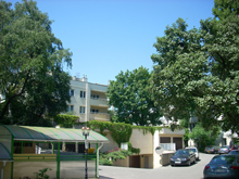 galeria