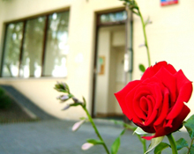 galeria